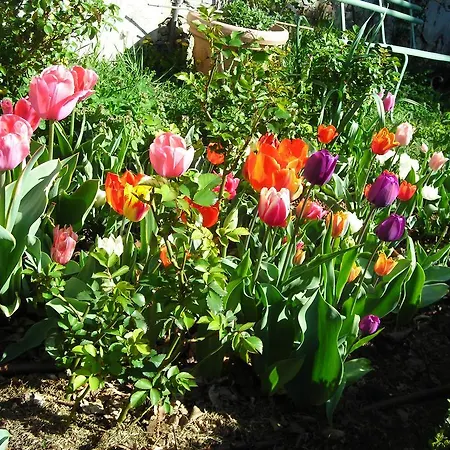 Landsted Castello Di Rocca Grimalda